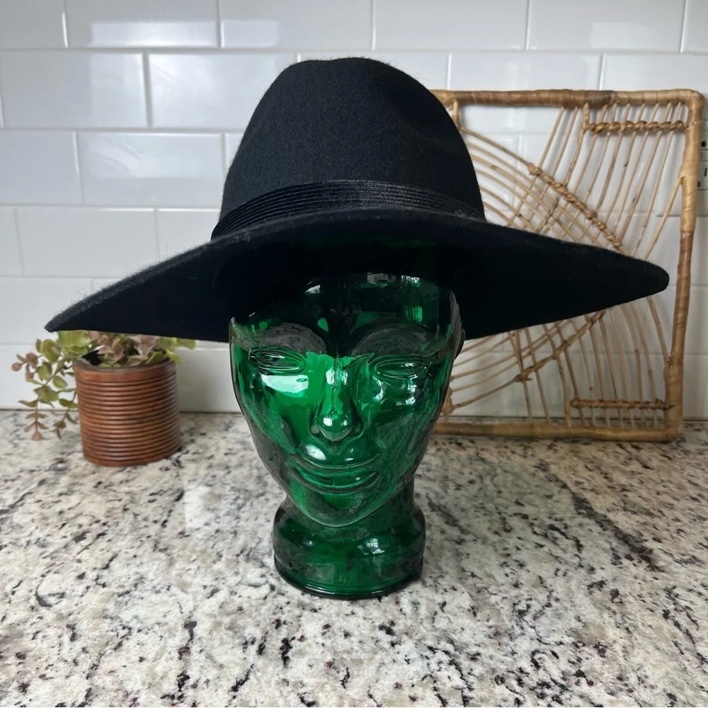 NWT Wide-Brim Fedora Hat